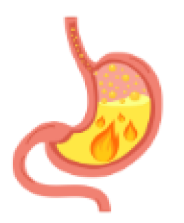 FireStomach.png