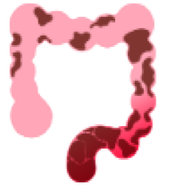 Largeintestine.png