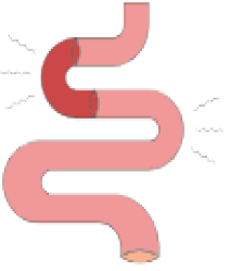 painintestine