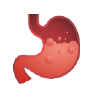 stomach.png